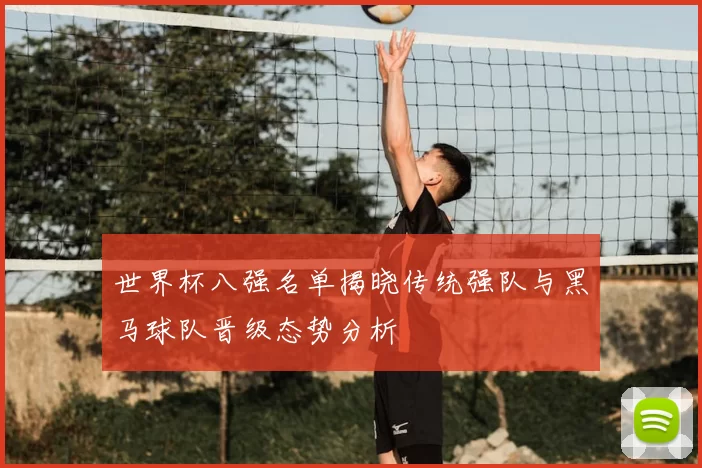 世界杯八强名单揭晓传统强队与黑马球队晋级态势分析