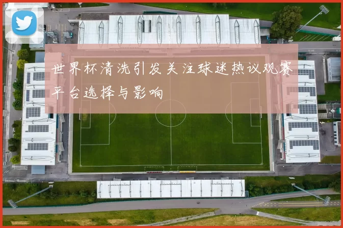 世界杯清洗引发关注球迷热议观赛平台选择与影响