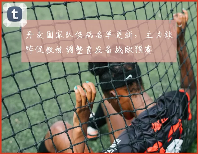 丹麦国家队伤病名单更新，主力缺阵促教练调整首发备战欧预赛