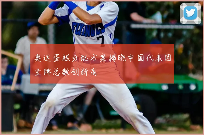 奥运蛋糕分配方案揭晓中国代表团金牌总数创新高