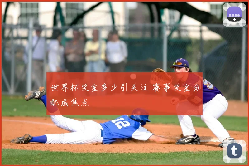 世界杯奖金多少引关注 赛事奖金分配成焦点