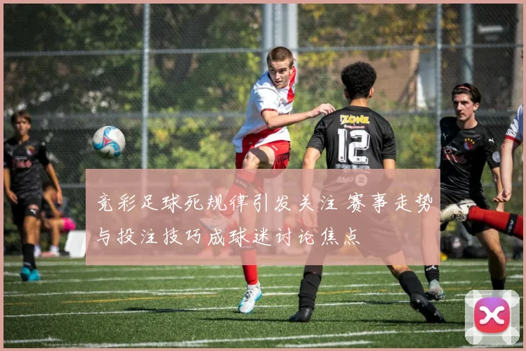 竞彩足球死规律引发关注 赛事走势与投注技巧成球迷讨论焦点