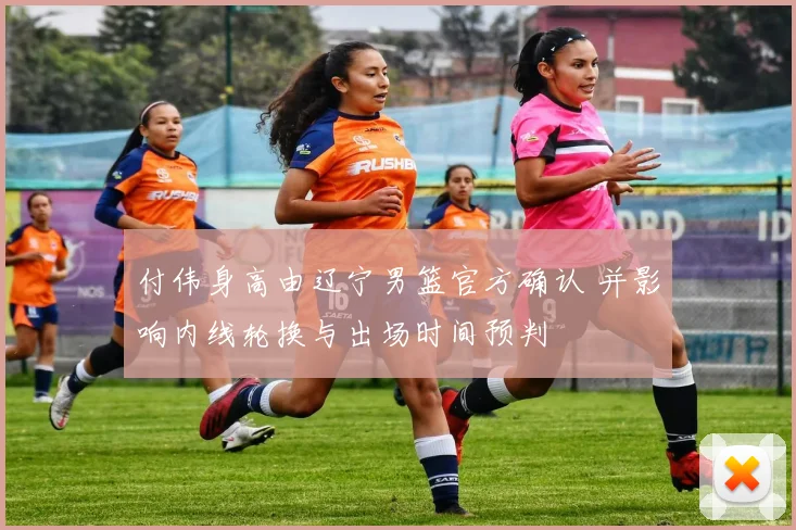 付伟身高由辽宁男篮官方确认 并影响内线轮换与出场时间预判